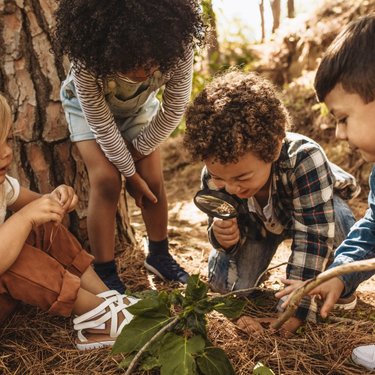 A group of children play with leaves and sticks in woodland.