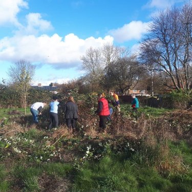 A small group of people garden outdoors.