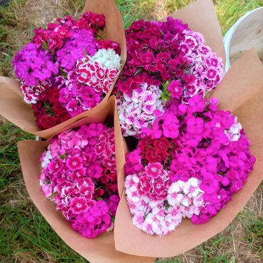 Four bouquets of pink and white flowers.
