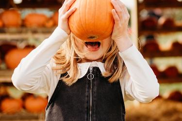 Standalone  Pumpkin Patch