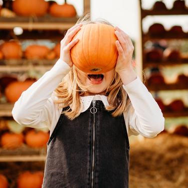 Standalone  Pumpkin Patch