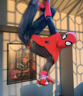 Spider-Man: Brand New Day Meet & Greet