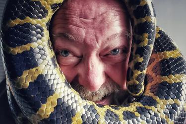 Halloween Creepy Crawlies & More