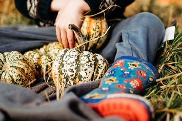 SEN-Access Sessions: Pumpkin Patch