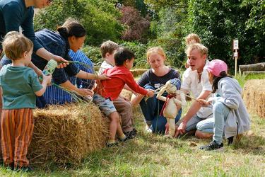 Play! Discover! Share! Goes Wild - Folk Tales for Curious Minds (4-10 years)
