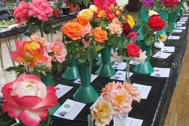 LDGA Summer Show