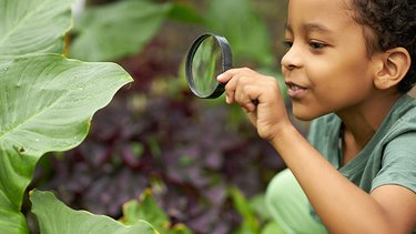 A child looks at leaves through a magnifying glass