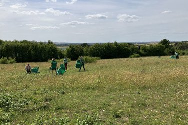 A group of volunteers work in Hillbrow Grassland.