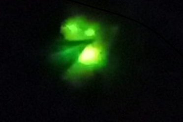 A glow worm