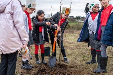 Schoolchildren plant trees for Arbor Day