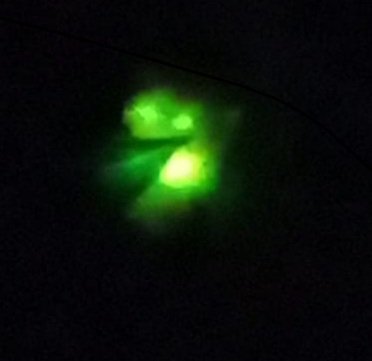 A glow worm