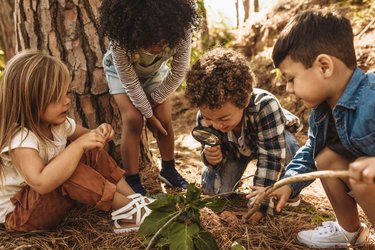 A group of children play with leaves and sticks in woodland.