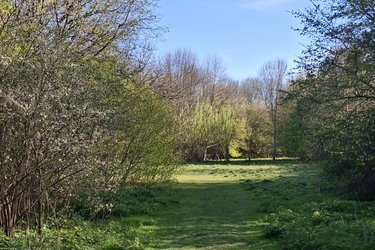 wander-and-weave-radwell-meadows