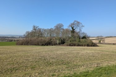 The ickelford tumulus burial mound site