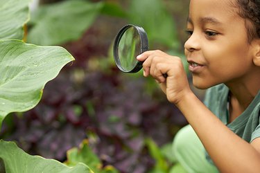 A child looks at leaves through a magnifying glass