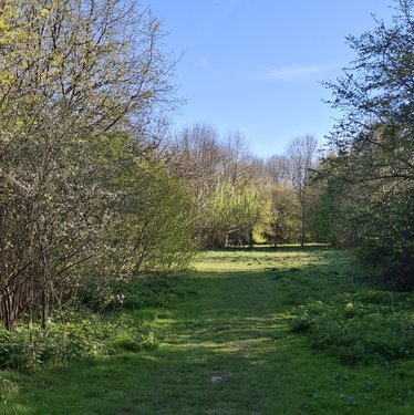 wander-and-weave-radwell-meadows