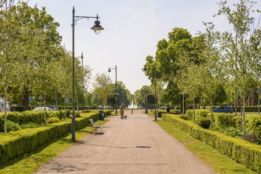 The green space of Broadway Gardens. A path and trees in the foreground, and a fountain in the background.