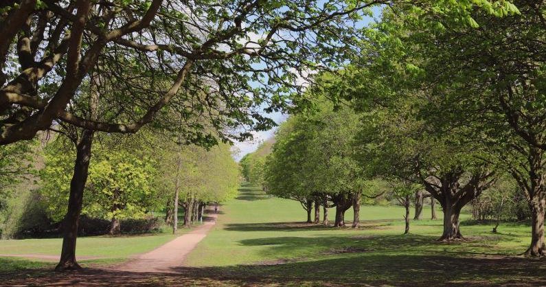 Common View Letchworth Places to Visit - Discover Letchworth